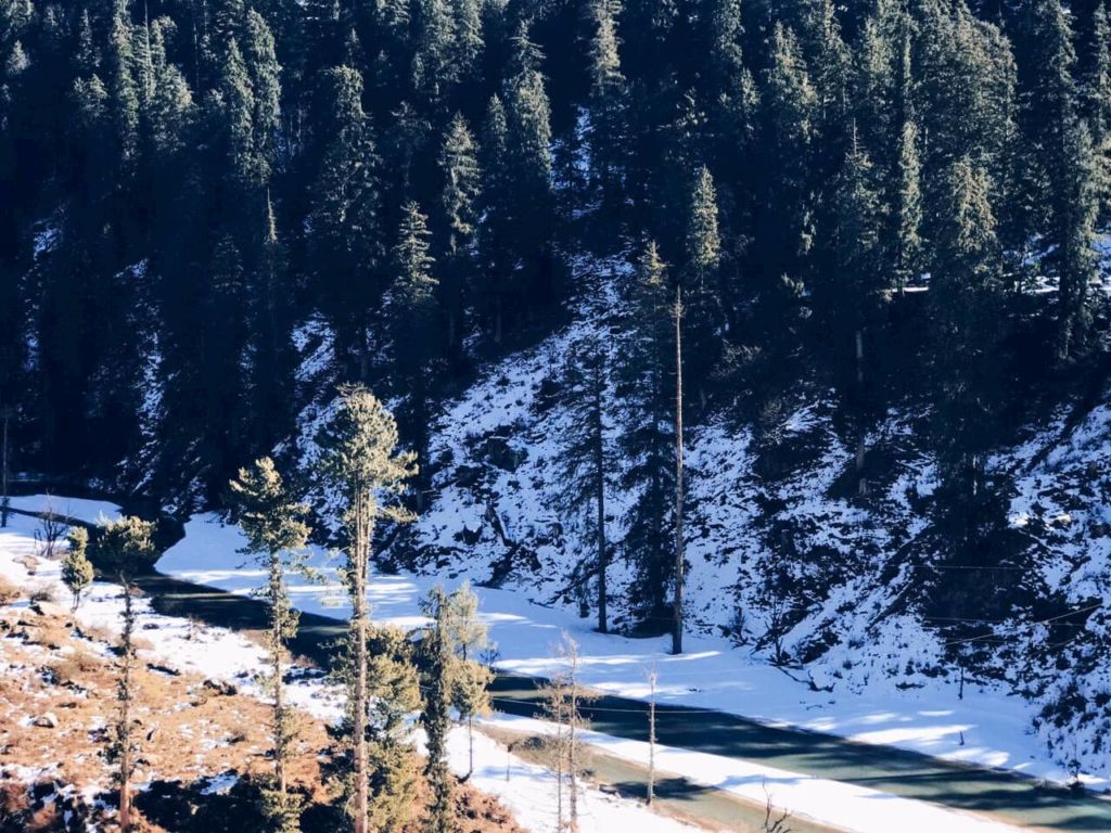 Photo of Grahan Village - an offbeat hike beyond Kasol 6/6 by Letters to Neet
