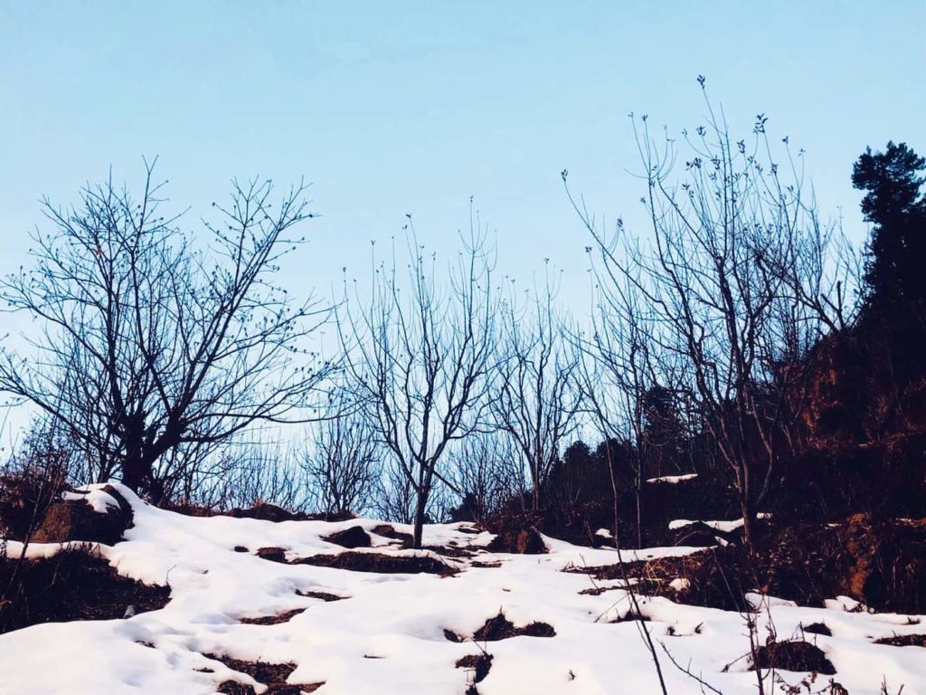 Photo of Grahan Village - an offbeat hike beyond Kasol 5/6 by Letters to Neet